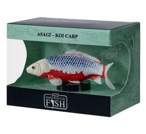 Mojo Kapr koi asagi v krabičce